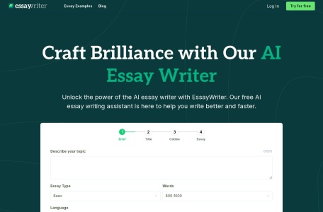 EssayWriter